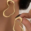 Irregular Lines Earrings>MICAS Hot